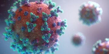 Coronavirus - Unsplash - Fusion Medical Animation