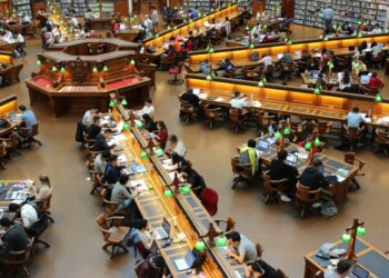 Facultate universitate studenti - Foto: Pixabay.com