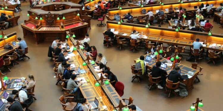 Facultate universitate studenti - Foto: Pixabay.com