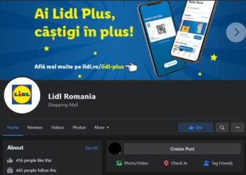 Atac cibernetic Lidl Romania - Foto: CERT-RO