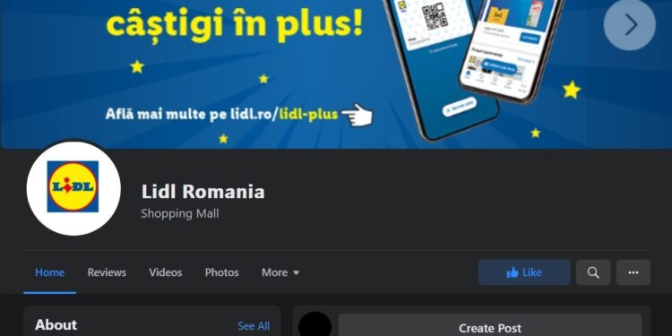 Atac cibernetic Lidl Romania - Foto: CERT-RO