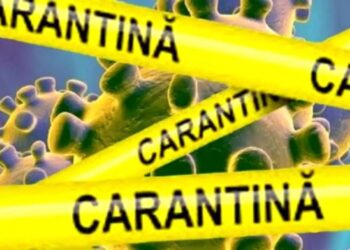 carantină