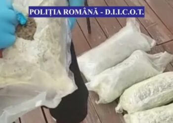 diicot-droguri