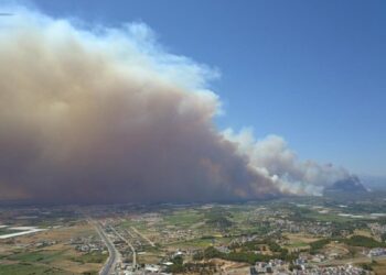incendii de vegetatie - Sursa: Twitter/ Mete Sohtaoğlu