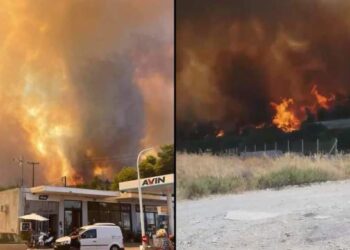 incendii in Gecia / observatornews.ro