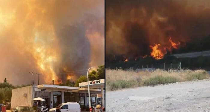 incendii in Gecia / observatornews.ro