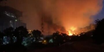 Pompierii au reușit să oprească extinderea incendiului care a atins o centrală electrică din Turcia