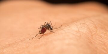 west nile