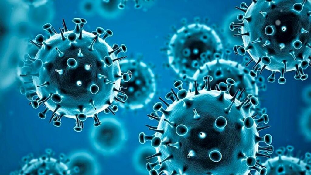 coronavirus-08-09