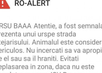 foto libertatea.ro