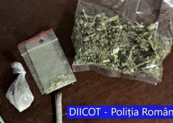 Percheziti-in-Olt-si-Dolj
