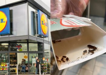 ANPC-Lidl-Profi-Carrefour