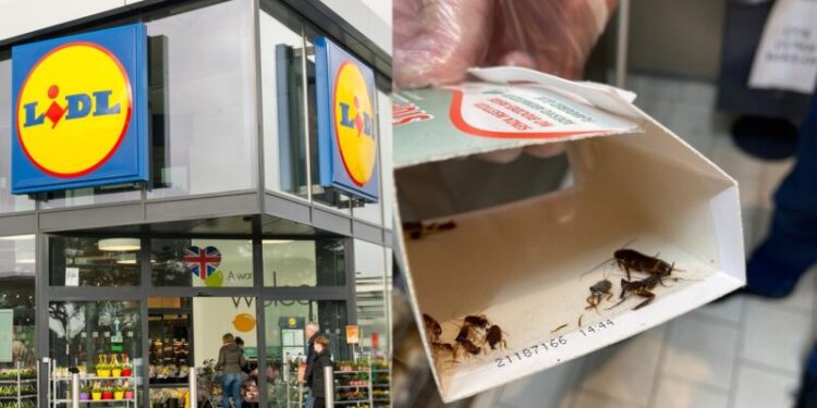 ANPC-Lidl-Profi-Carrefour