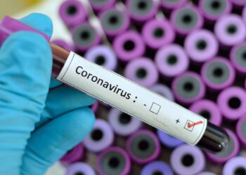 Bilant-Coronavirus