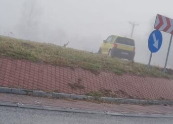 accident-Maglavit-Dolj
