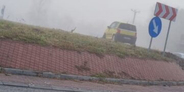 accident-Maglavit-Dolj