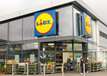 lidl-nereguli
