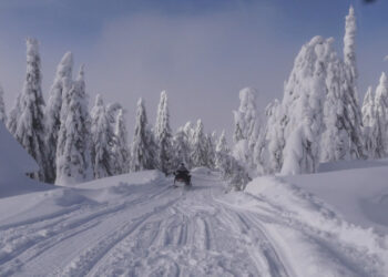 vremea-07-decembrie