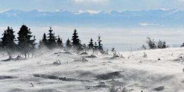 vremea-02-ianuarie