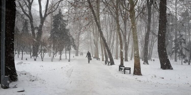 foto observatornews.ro