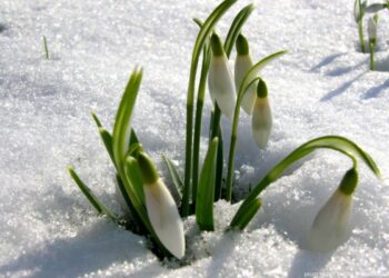 vremea-16-februarie