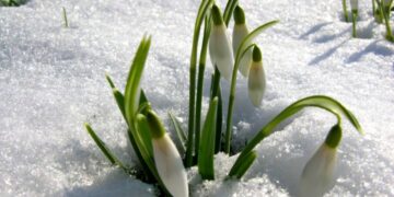 vremea-16-februarie