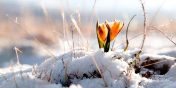 vremea-22-februarie
