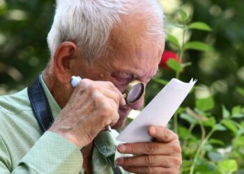 Pensionarii-declarația-unică