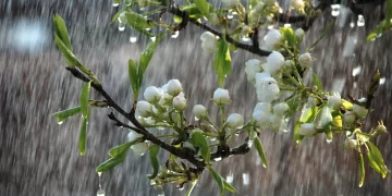Prognoza meteo 3 aprilie 2022. Cum e vremea în România și care sunt previziunile ANM