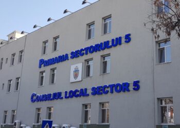Primaria-Sector-5
