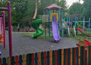 Copac căzut Craiova