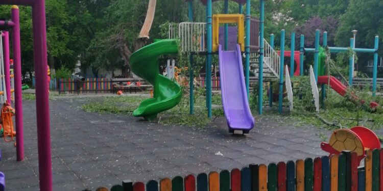 Copac căzut Craiova