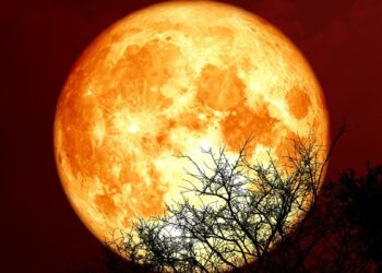 luna-sangerie