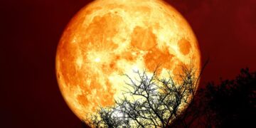 luna-sangerie