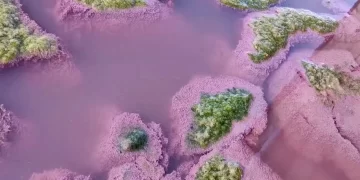 lacul-techirghiol