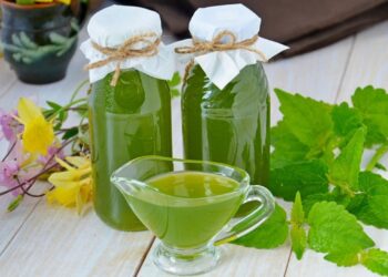 sirop-de-menta