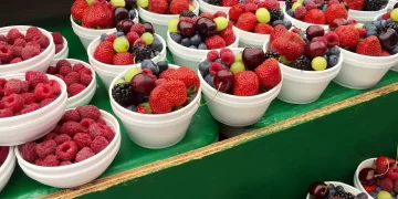 alimente-bogate-in-antioxidanti