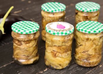 vinete-la-borcan