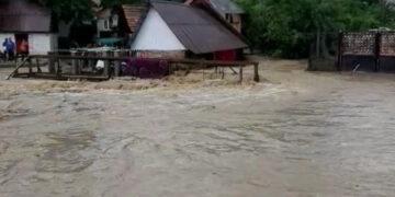 cod-galben-inundatii