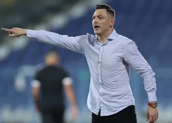 Radoi-Mirel