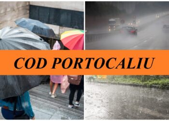cod-portocaliu