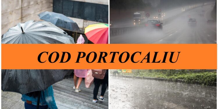 cod-portocaliu