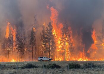 incendiu-california
