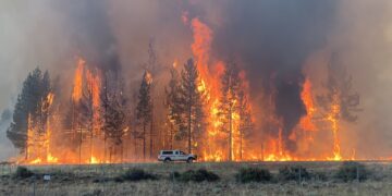 incendiu-california