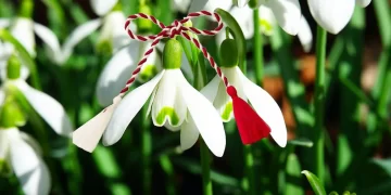 martisor