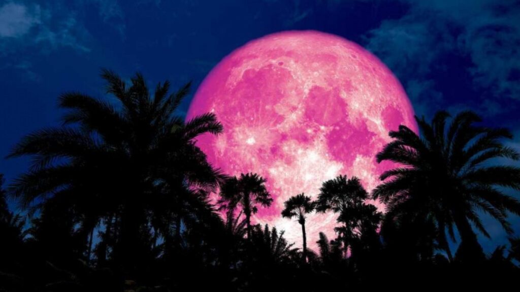 luna-roz-2024