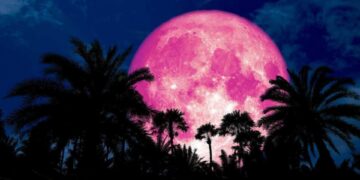 luna-roz-2024