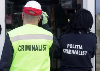 criminalisti