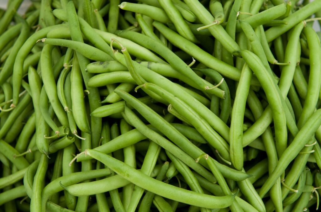 fasole-verde