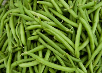 fasole-verde